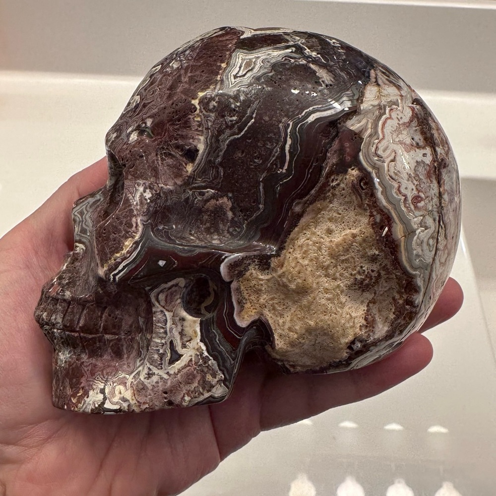 Crazy Lace Agate Skull - Picture 4 of 7